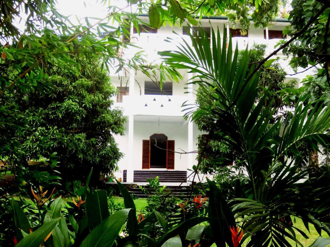 Sea Avenue - Eco Garden Hotel Tangalle Kültér fotó