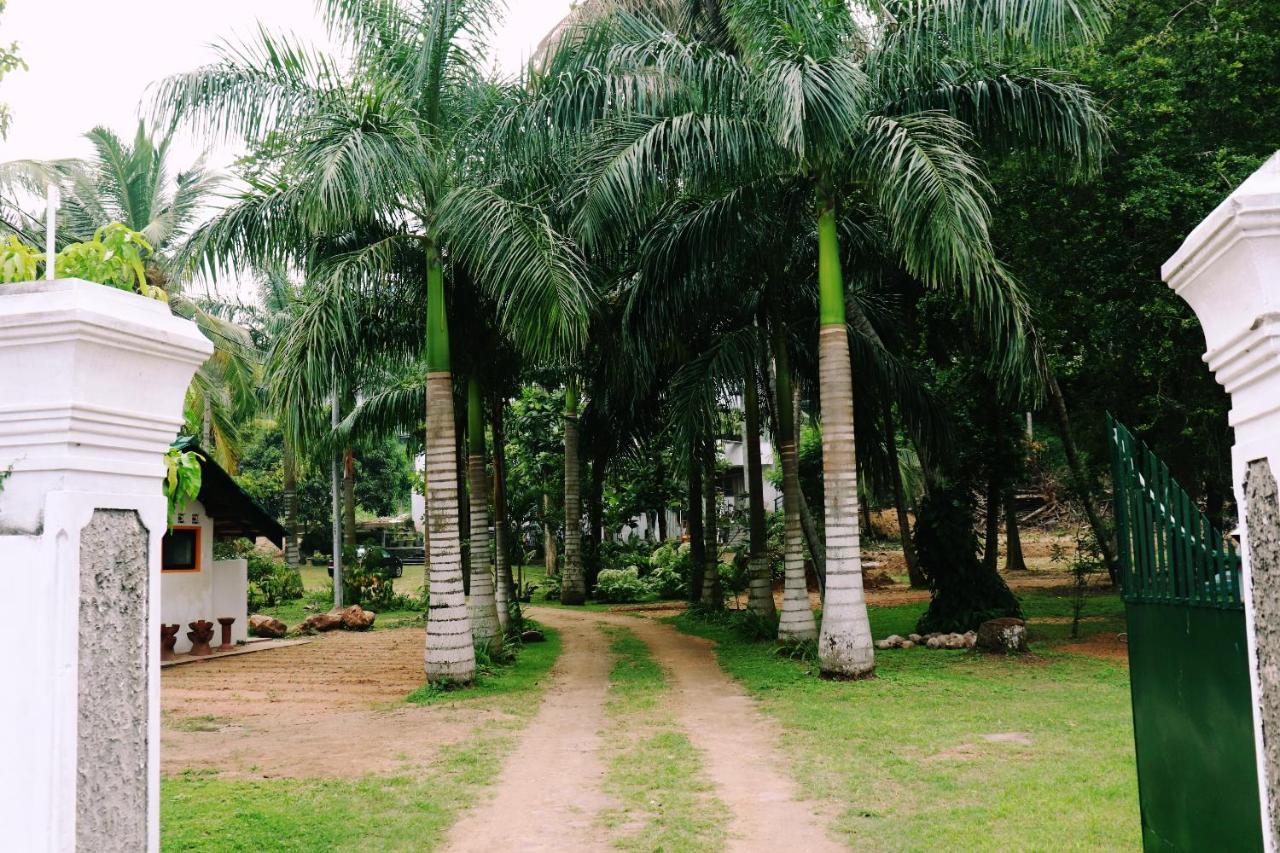 Sea Avenue - Eco Garden Hotel Tangalle Kültér fotó