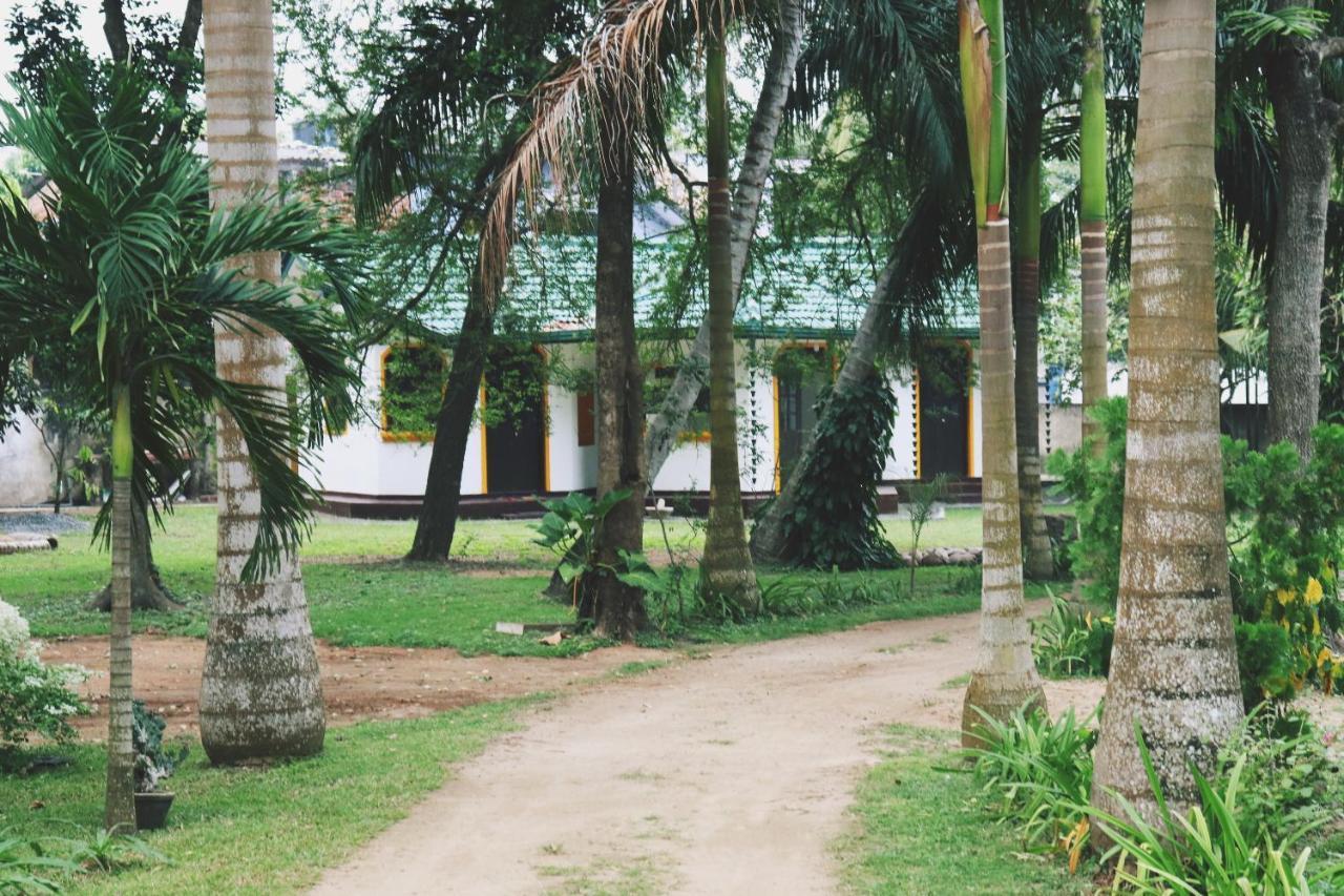 Sea Avenue - Eco Garden Hotel Tangalle Kültér fotó