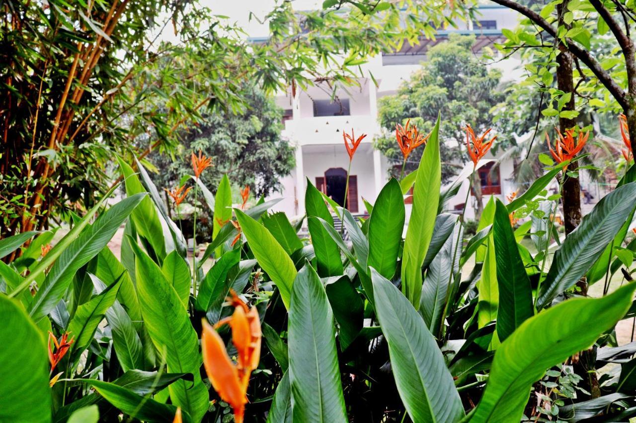Sea Avenue - Eco Garden Hotel Tangalle Kültér fotó